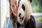 Volunteer with Panda's in China