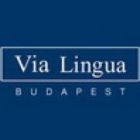 CONVERZUM-Tudomany Language School - Via Lingua TEFL Logo