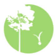 International Sustainable Development Studies Institute logo