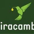 Iracambi Atlantic Rainforest Center logo