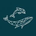 Hebridean Whale & Dolphin Trust logo