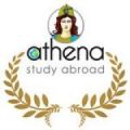 Athena Study Abroad logo