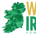 USIT Work in Ireland Program logo