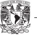 University of Mexico logo