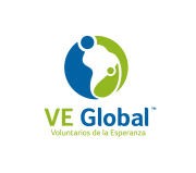 VE Global logo