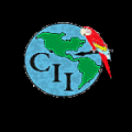 Centro Internacional De Idiomas Logo