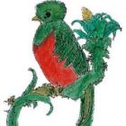 El Quetzal Spanish School Logo