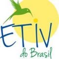 ETIV do Brazil logo