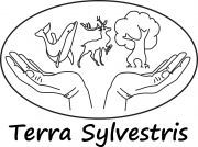 Terra Sylvestris non govermental  non profit organization Logo