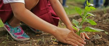 Tree Planting Volunteer Programs Abroad