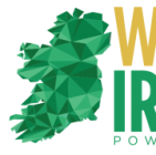 USIT Work in Ireland Program Logo