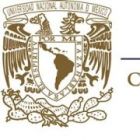 CEPE (Centro de Enseñanza para Extranjeros) / UNAM - Campus TAXCO Logo