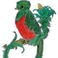 El Quetzal Spanish School logo