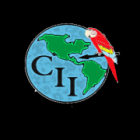 Centro Internacional de Idiomas Logo