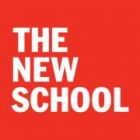 The New School  Logo