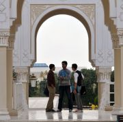 American University of Sharjah logo