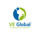 VE Global Logo