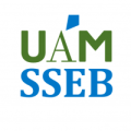 UAM Summer School of Economics and Business logo