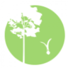 International Sustainable Development Studies Institute Logo