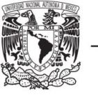 University of Mexico Logo