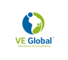 VE Global logo