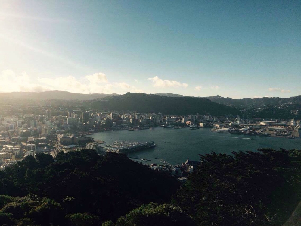 View of City Wellington